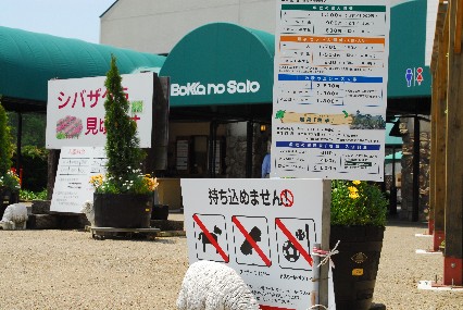 行ってきました!わんこパラダイス2 2日目3日目_a0049296_22545050.jpg