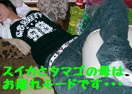 f0065199_16482210.jpg