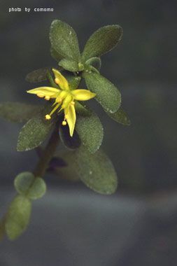 f0005733_20503413.jpg