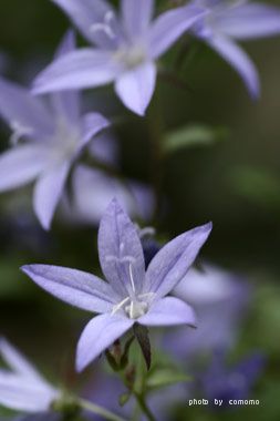 f0005733_20512615.jpg