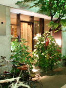 ＊アメとムチ＊　　2006,6,1_a0030038_901216.jpg