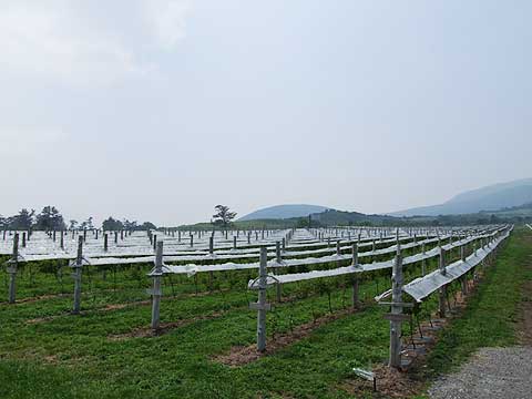 d0019169_22302856.jpg