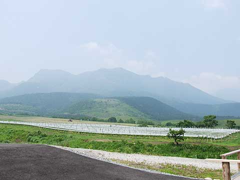 d0019169_22342540.jpg