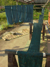 今年の正藍冷染 しょうあいひやぞめ イシハナ雑記帖