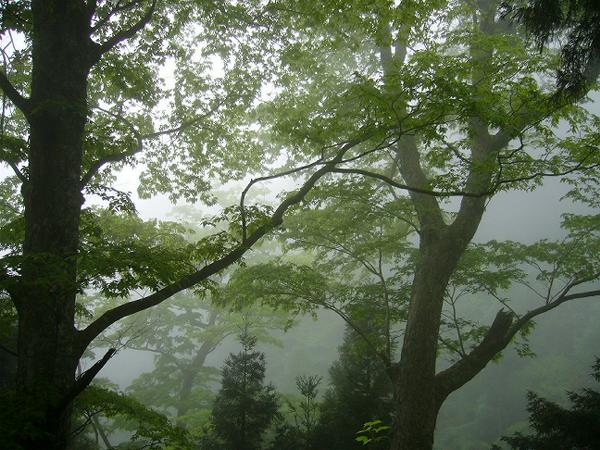 c0051105_23483727.jpg