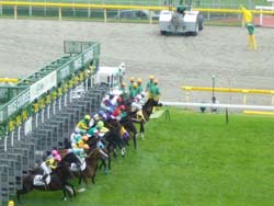 人生初競馬！　　a horse racing for the first time!_e0017310_2201782.jpg