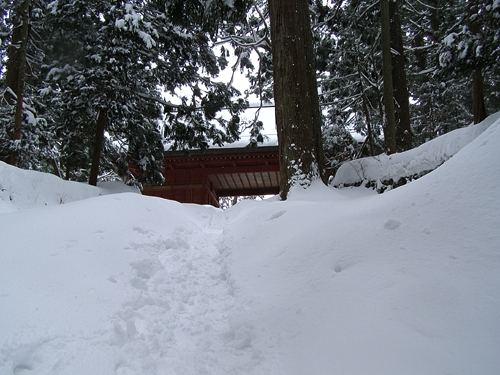 e0066210_10471481.jpg