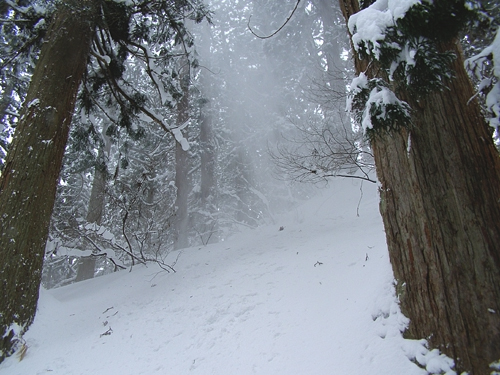 e0066210_10535572.jpg