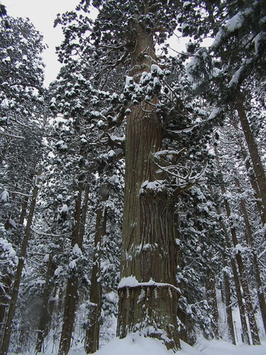 e0066210_110257.jpg