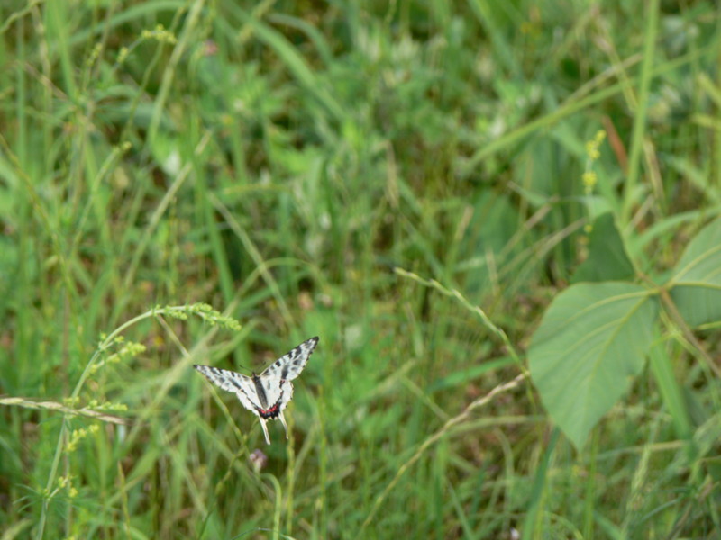 f0063624_5393782.jpg