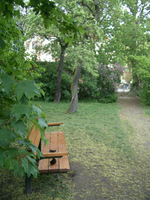 e0079166_2144399.jpg