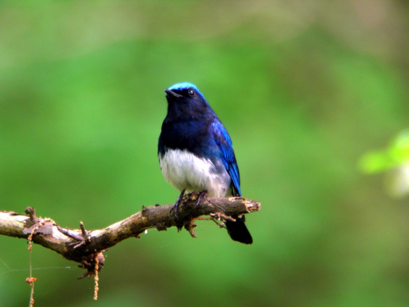 a0053771_1829441.jpg