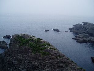 c0025471_14173637.jpg