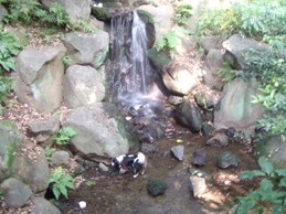 f0030875_22344516.jpg