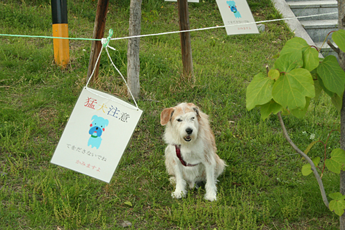 c0039783_181061.jpg