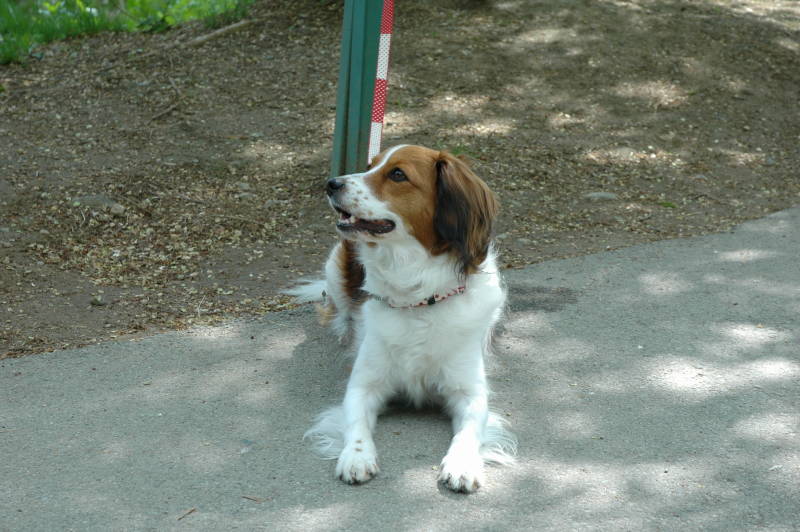c0075585_13612.jpg