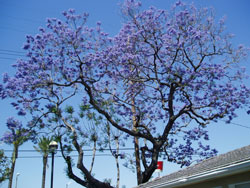 b0066900_0382859.jpg