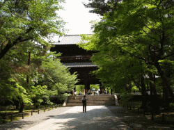 Feel Kyoto No.7　－哲学の道－_d0014408_17183318.gif