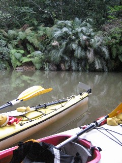 RIVER＆TREK （@西表島）_f0097620_194750100.jpg