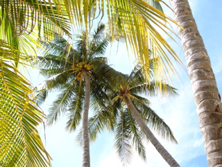 b0026633_22312750.jpg