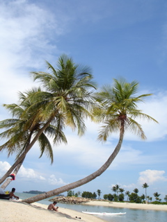 b0026633_22314025.jpg