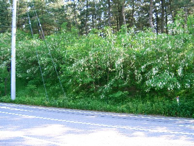 b0097145_2362952.jpg