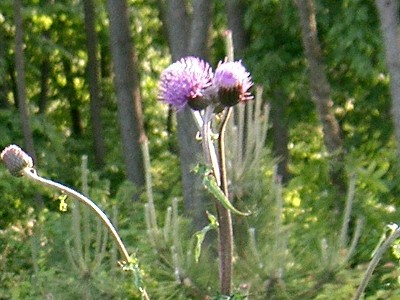 b0097145_2383114.jpg