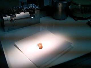 e0000847_29486.jpg