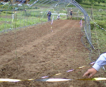f0045667_55279.jpg
