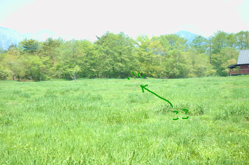 c0075585_0755.jpg