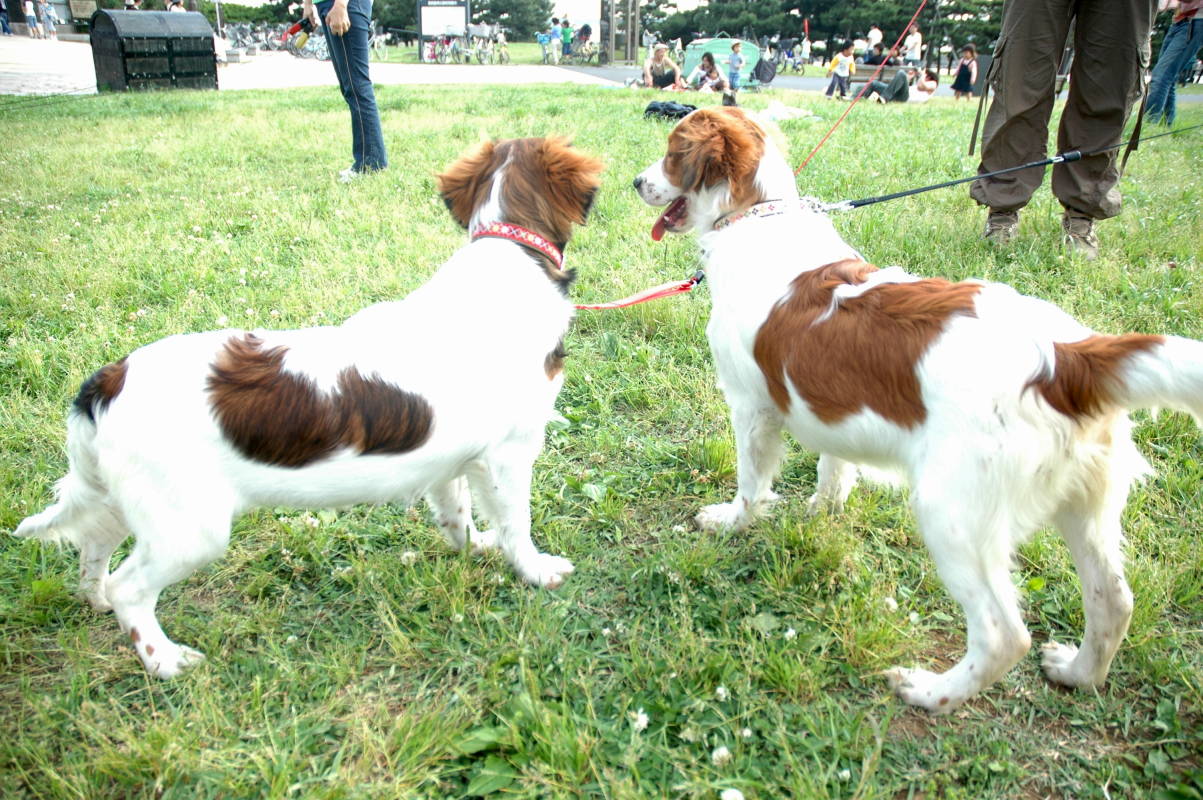 c0075585_2357984.jpg