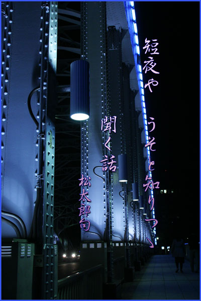 夜の永代橋_c0065587_21154814.jpg