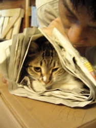 やちむんが教えてくれること。_d0028589_21531953.jpg