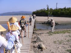 第1日目（5/3・後半）　土佐西南大規模公園～浜の宮～四万十大橋～間崎～市野瀬～下ノ加江～大岐海岸_e0043591_2325589.jpg