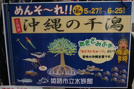 姫路市立水族館　企画展「沖縄の干潟」_d0064399_6273339.jpg