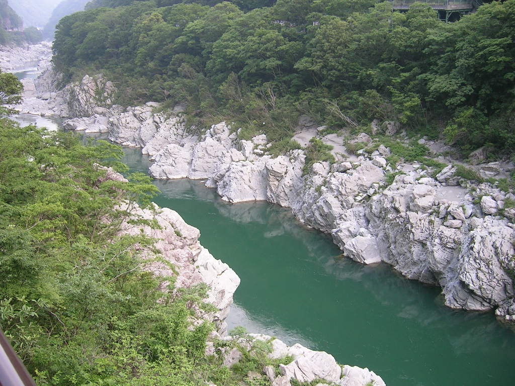 a0048609_1538475.jpg