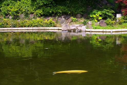 菅刈公園内の日本庭園_b0053019_22381072.jpg