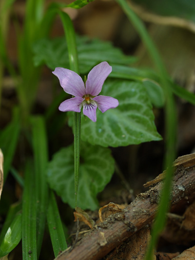 c0006928_2354747.jpg