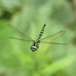 b0081141_22111367.jpg