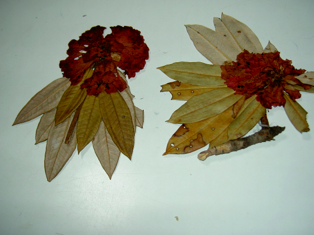 a0053063_23261344.jpg