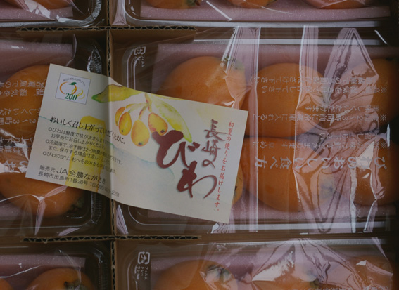 長崎から嬉しい季節の便り（茂木びわ：２００６・６・５）_c0014967_731396.jpg