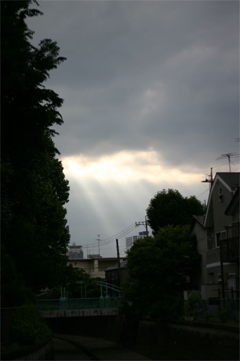 b0059268_22352656.jpg