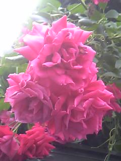 d0034668_13213275.jpg