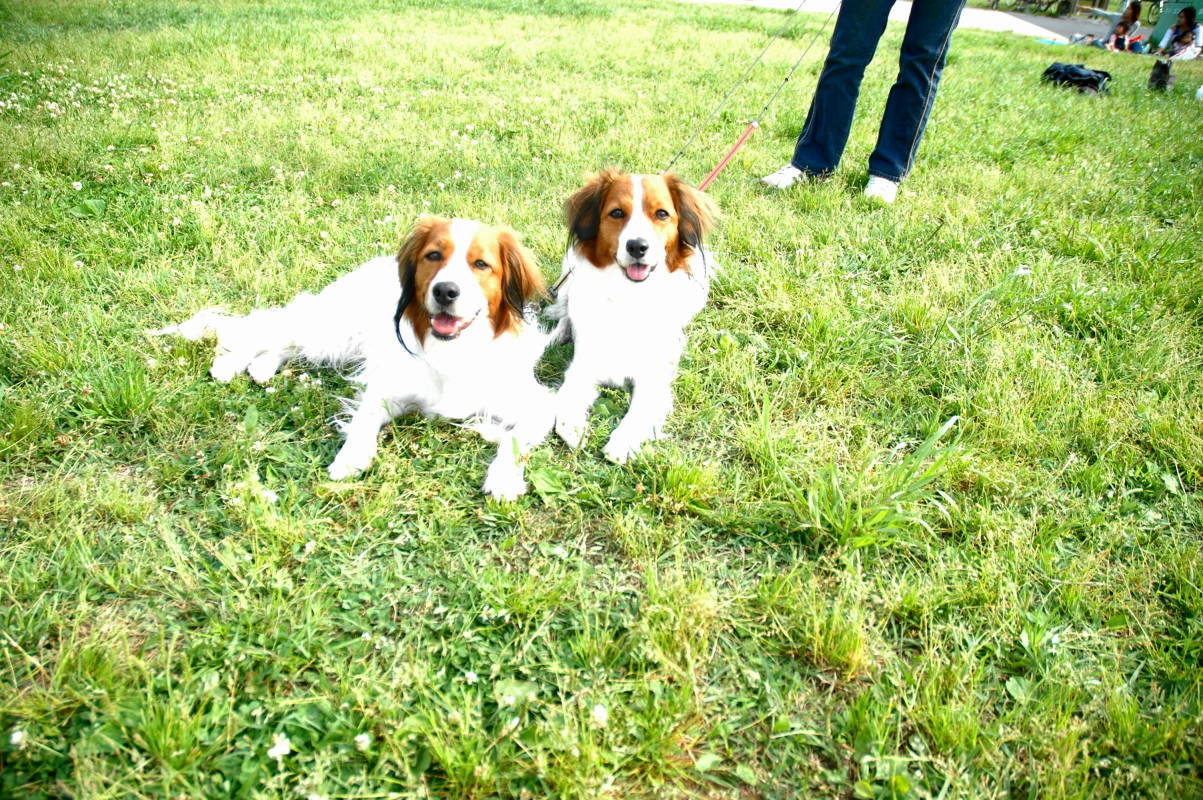 c0075585_013768.jpg