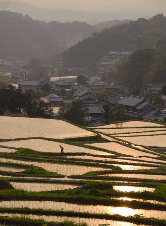 田植えも佳境_e0092186_14591987.jpg