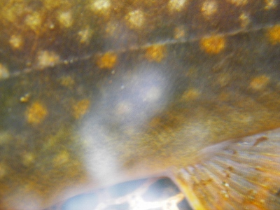 e0030889_23332741.jpg