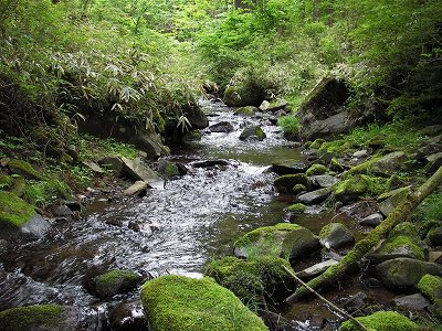 e0030889_2363636.jpg