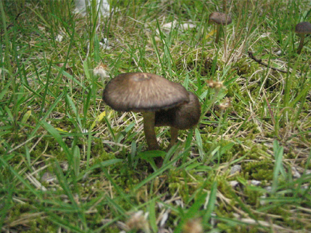 e0077599_12593744.jpg