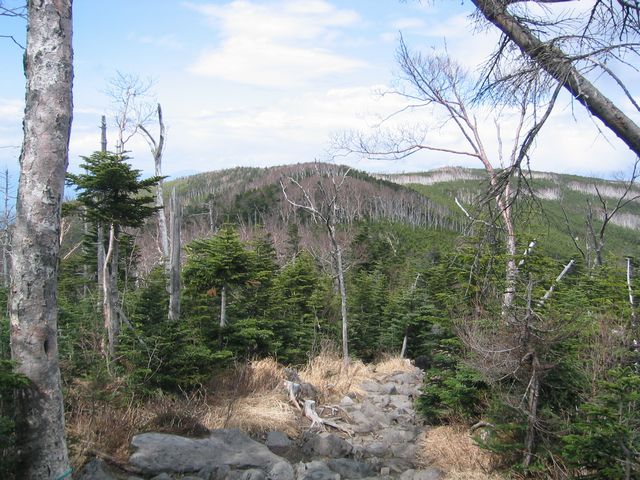 b0085111_11058.jpg