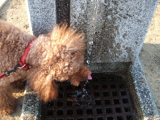 暑い日でした。_c0068148_2244745.jpg